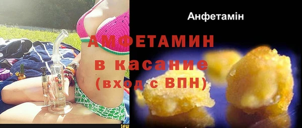 тгк Бородино