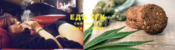 тгк Бородино