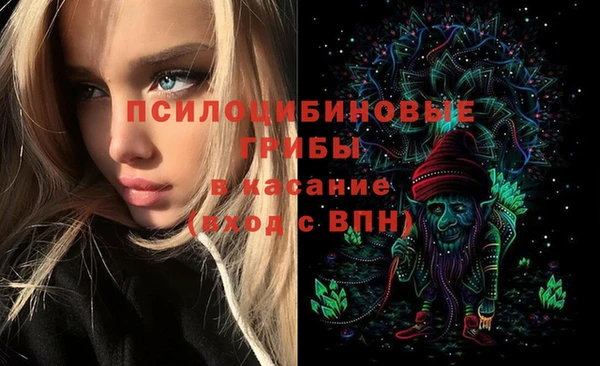 гашиш Тайга