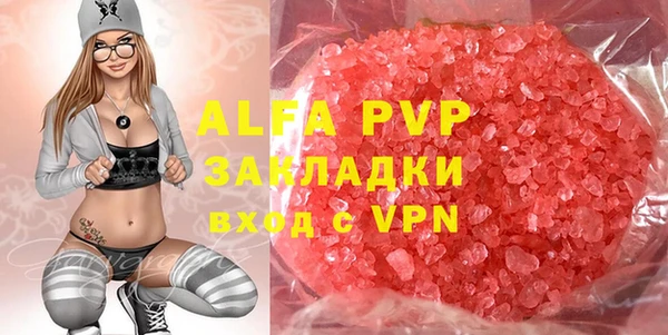 прущие грибы Наволоки