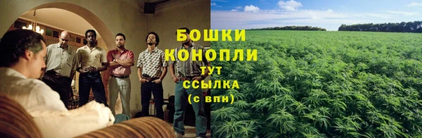 тгк Бородино
