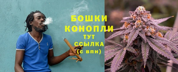 дживик Богданович