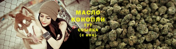 тгк Бородино