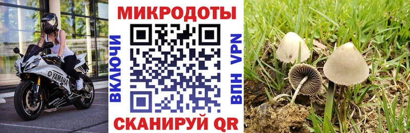 купить наркоту  Карпинск  Псилоцибиновые грибы MAGIC MUSHROOMS 